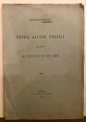 Arturo Negri Sopra alcuni fossili raccolti nei calcari grigi dei Sette Comuni 1891 Roma Tipografia dei Lincei